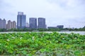 Ecological urban development , lake and lotus